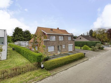 maison à vendre à morkhoven € 484.000 (kp8yq) - immo point kempen - kasterlee | zimmo