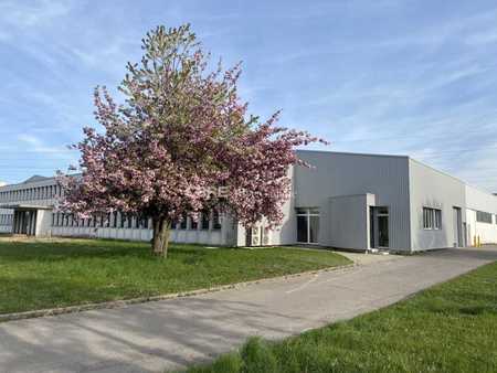 location de bureau de 500 m² à geispolsheim - 67118