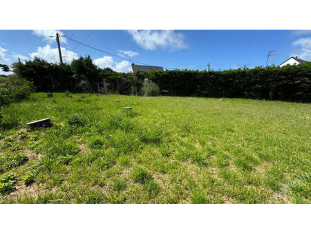 vente terrain à saint-pierre-quiberon (56510) : à vendre / 330m² saint-pierre-quiberon