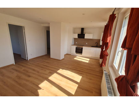 location appartement 3 pièces 50 m² roanne (42300)