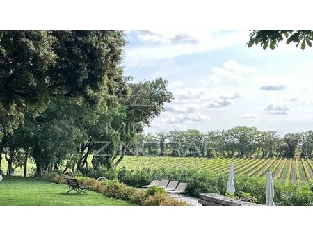 an aop c.a.p. vineyard estate with character  aix-en-provence  pr 13100 vineyard for sale