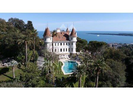 cannes californie - gated domaine - sole agent  cannes  pr 06400 chateau for sale