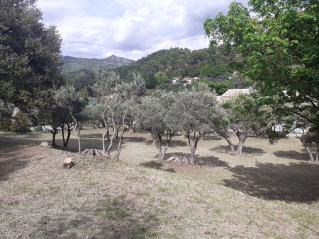 terrain viabilisé village aups avec oliviers