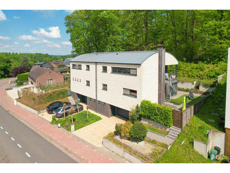 maison d'architecte en vert holsbeek
