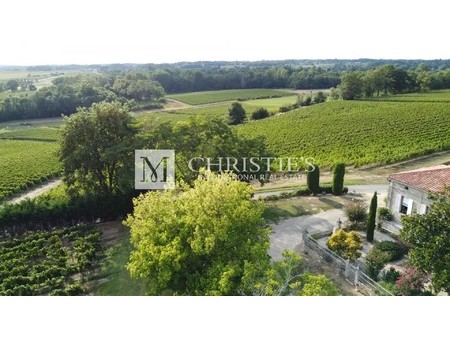 for sale beautiful 18-ha vinyard estate in a dominant position overlooking the vineyard va