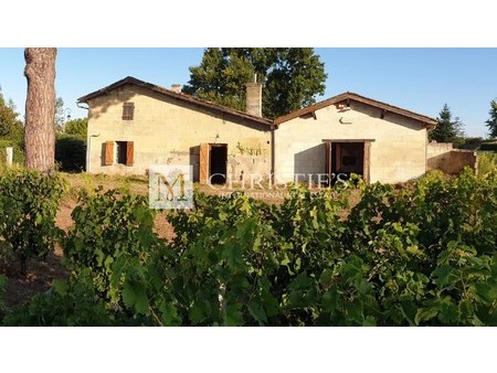 for sale about 2 5 ha of aoc saint-emilion vine and smalle house to renovate    aq 33330 v