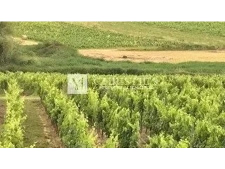 for sale family vineyard estate near saint-emilion  saint emilion  aq 33330 vineyard for s