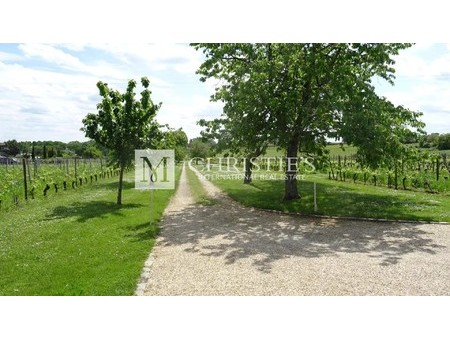 pleasure property of about 1 5 ha near libourne  libourne  aq 33500 vineyard for sale