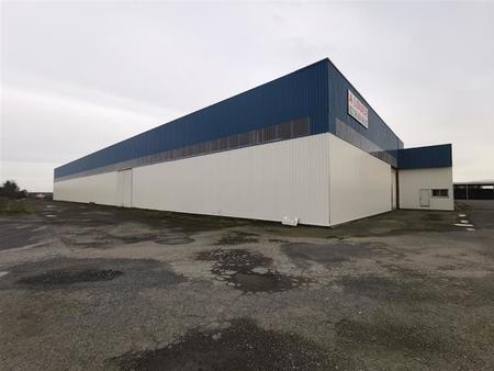 location d'entrepôt de 5 000 m² à saint-rieul - 22270