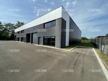 location d'entrepôt de 388 m² à souffelweyersheim - 67460