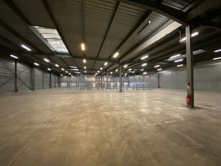 location d'entrepôt de 3 137 m² à strasbourg - 67000