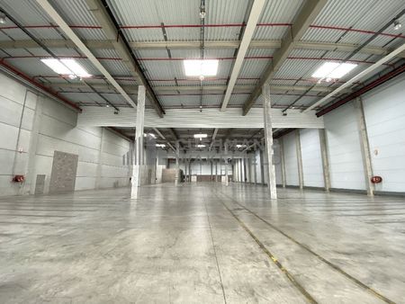 location d'entrepôt de 3 665 m² à strasbourg - 67000