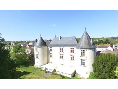 château en vente à jaunay-marigny : florence vous propose ce château couvert entièrement r
