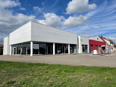 en vente local commercial 1 300 m² – 1 728 000 € |roeschwoog