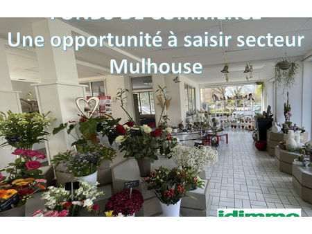 vente commerce 245 m² mulhouse (68100)