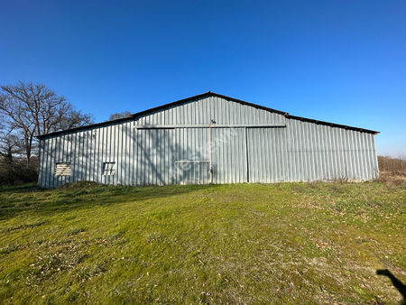 hangar agricole avec terrain de 5 hectares à dissay-sous-courcillon (72500)
