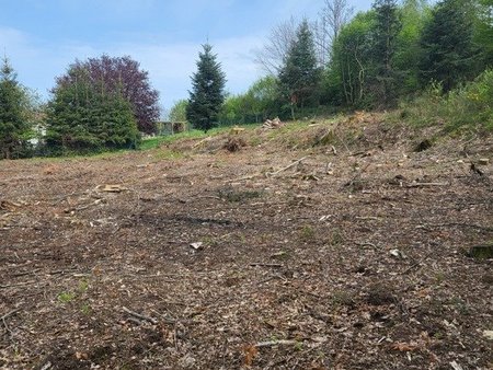 terrain 1100m2 a batir 5 mn st die des vosges