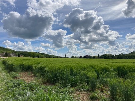 terrain à bâtir à baulne (91590)