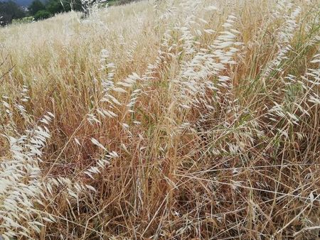 terrain agricole en bretagne