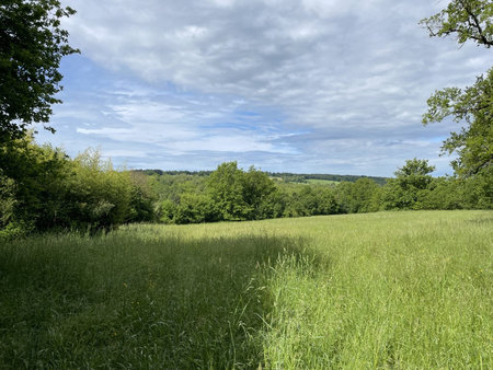 entre pompadour et objat  campagne  calme