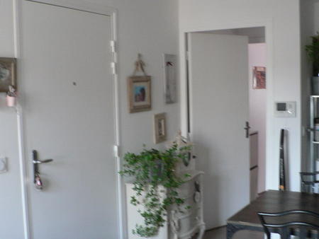 appartement 3 pièces - 49m²