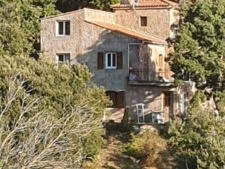 maison en corse à vendre