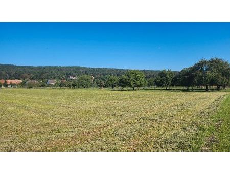 terrain 816 m² raedersdorf