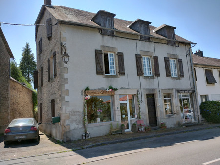 grande maison familiale + 2 gites + 2 locaux + dependances. opportunite commerciale formid