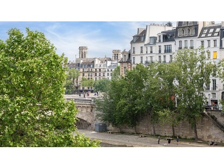 paris 6th district - saint-germain-des-prs  quai des grands augustins  views  two bedrooms