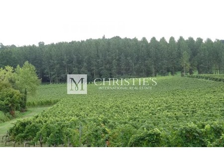 for sale vineyard estate of 14 ha almost in one piece in the heart of the aoc ctes de bour