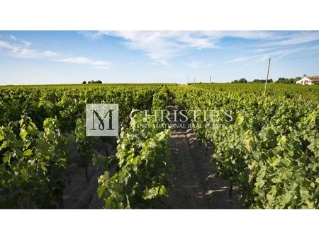very well-located bordeaux vineyard estate  branne  aq 33420 vineyard for sale
