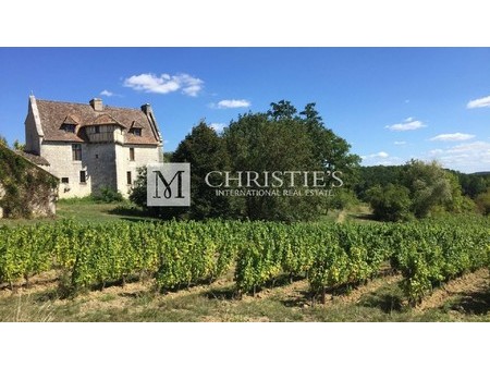 superbly renovated c14th historic chateau + vineyard nr bergerac  bergerac  aq 24100 viney