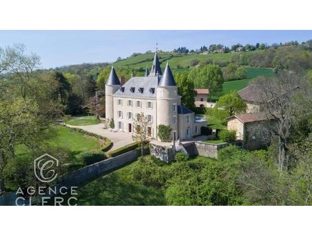 between lyon & chambery  outstanding 17th century chateau    38260 other for sale