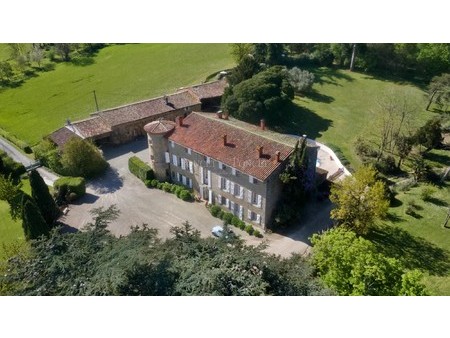 15th century medieval castle with gtes  beautifully restored  30 mn from toulouse on 5 ha 