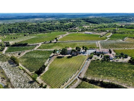cru la livinire organic and hve winegrowing estate 46 ha    34210 other for sale