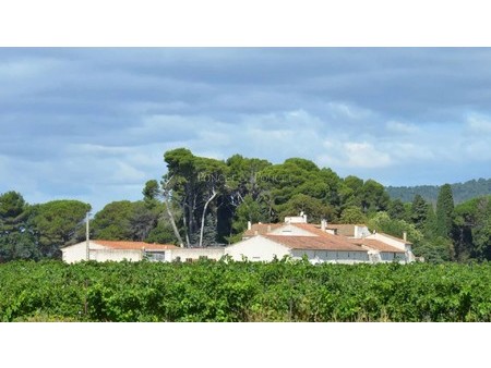 property of character in aude  on the edge of the canal du midi 10 ha with irrigated vines