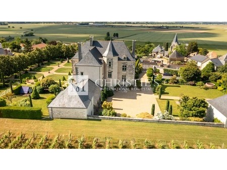 magnificent loire valley manor with stunning park and vineyard    po 86120 villa/townhouse