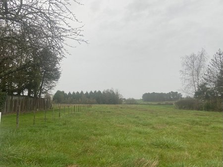 terrain à bâtir à rouziers-de-touraine (37360)