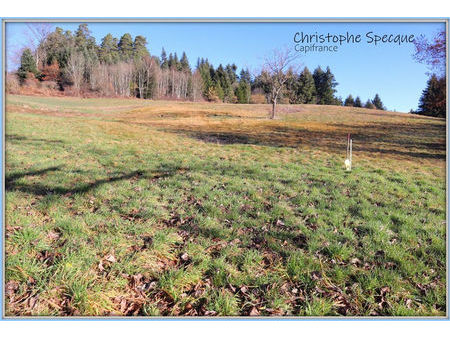 a vendre terrain constructible 2586 m² à chabreloche | capifrance