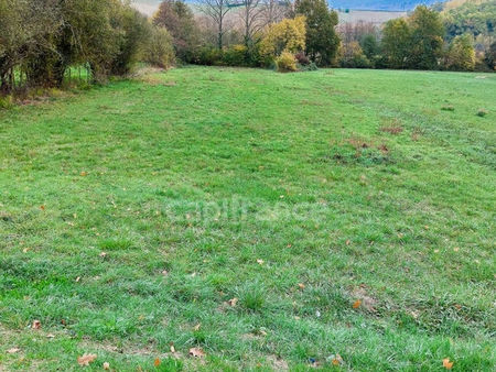 a vendre terrain constructible 3451 m² à moissac | capifrance