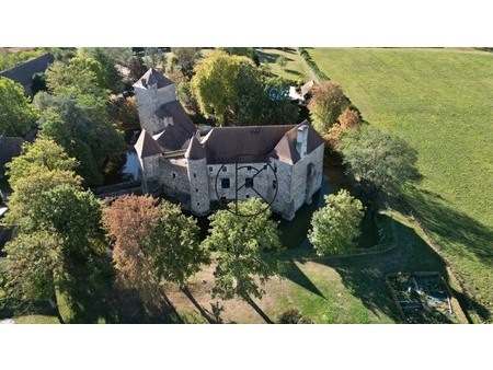 château à vendre dans le quartier cité bretonnie-chatelet-favieres-conches