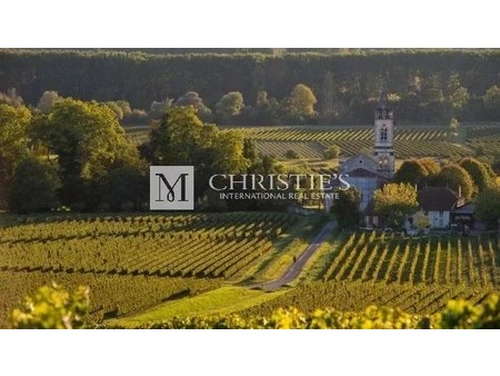 aoc graves vineyard estate of about 24 ha  cadillac sur garonne  aq 33410 sale vineyard