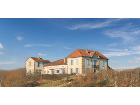 a vendre château 700 m² à nogaro | capifrance