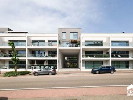 appartement à vendre à genk € 335.000 (kpqcf) | zimmo