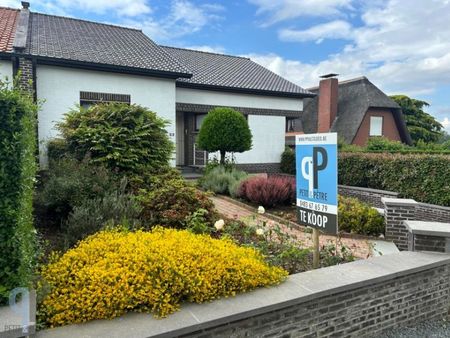 maison à vendre à zottegem € 489.000 (kpqvo) - p&p | zimmo