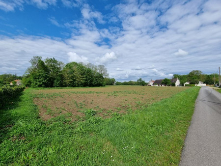 vente terrain constructible girolles  1100m² 34 000€ loiret centre