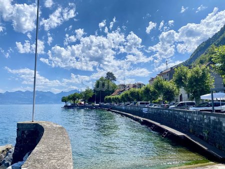 maison familiale à deux pas du lac et frontière suisse !n