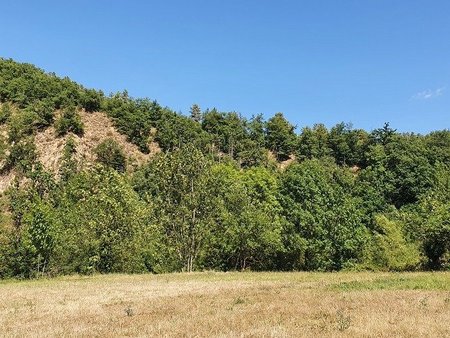 terrain à bâtir à amélie-les-bains-palalda (66110)