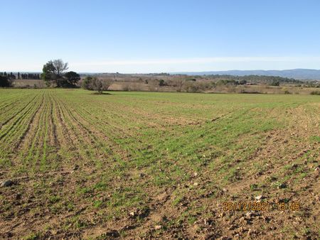 terrain agricole