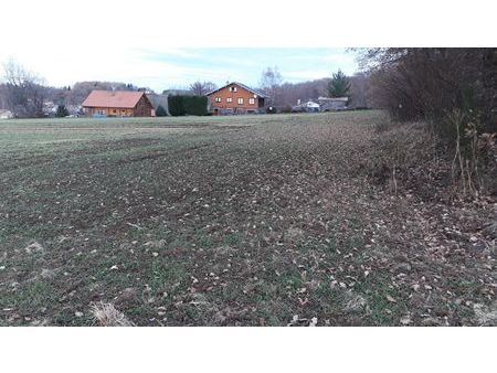 terrain constructible 2300m²